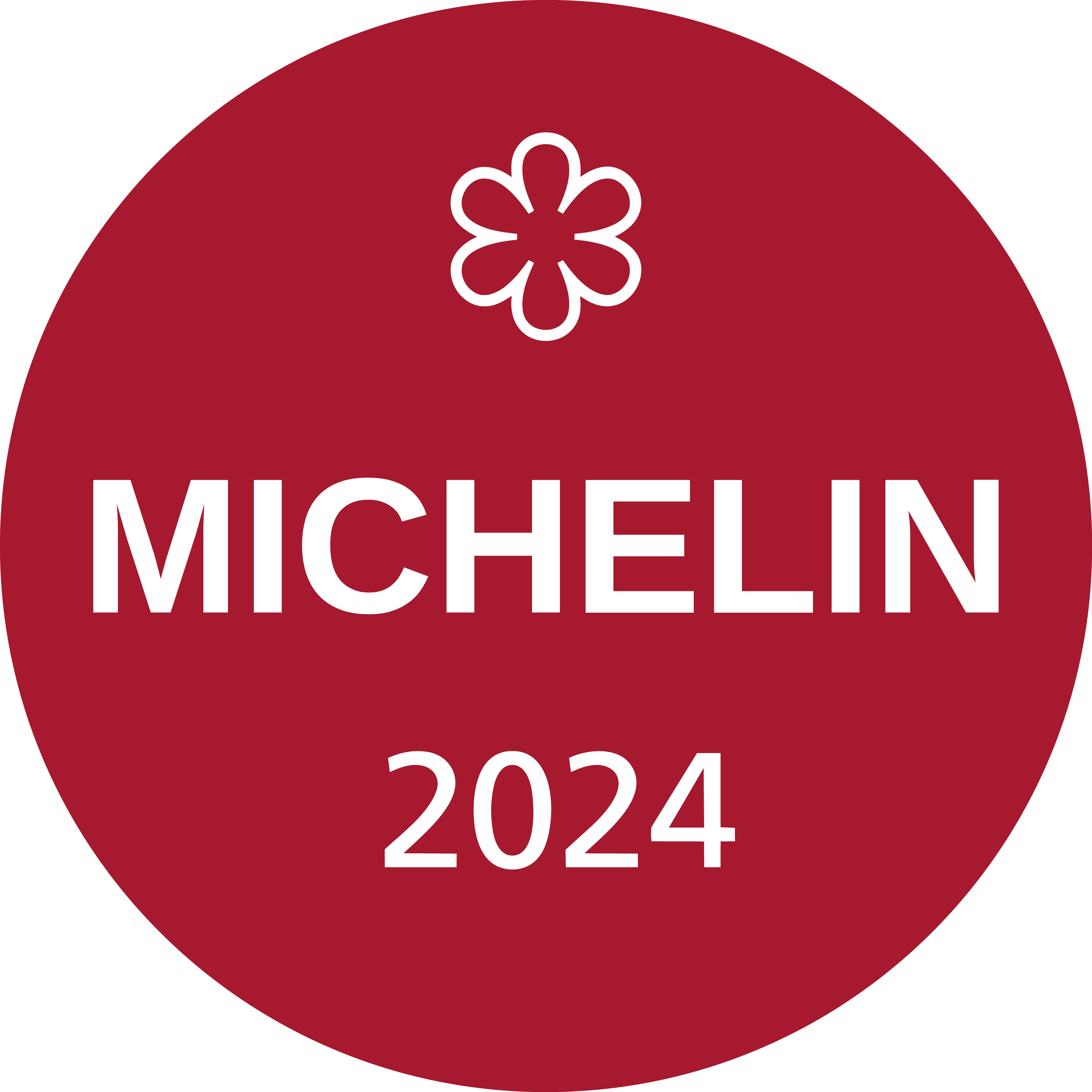 Michelin 2024